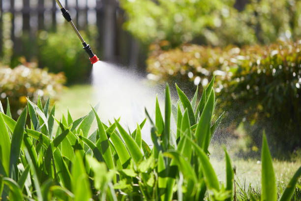 24/7 Emergency Fumigation Services experts in New Haven, IN