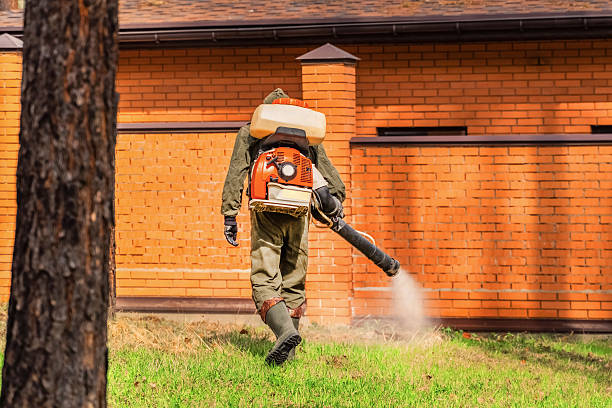 Trusted Mosquito Control service in New Haven, IN - Nex Pest Control